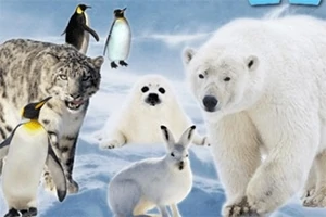 Animales árticos y antárticos, como un oso polar, un leopardo de las nieves, un lobo marino, un conejo ártico y varios pingüinos, en un paisaje nevado