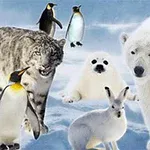 Animales árticos y antárticos, como un oso polar, un leopardo de las nieves, un lobo marino, un conejo ártico y varios pingüinos, en un paisaje nevado