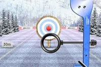 Toma un arco y pon a prueba tus habilidades de tiro con arco!