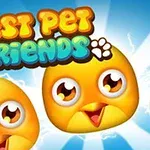 Tres personajes de pollitos amarillos con expresiones felices sobre un fondo azul, junto al texto Best Pet Friends