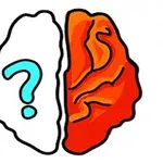 Ilustración de un cerebro dividido en dos mitades: la izquierda blanca con un signo de interrogación azul y la derecha en tonos naranjas y rojos