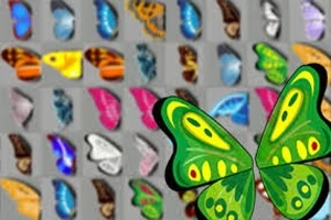 Coloridas alas de mariposa en diversas combinaciones sobre un fondo gris