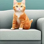 Gato naranja sentado en un sofá gris con fondo verde