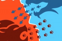 Conquer Us es un juego en línea estratégico de puzzles