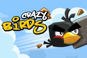 Un ave negra con expresión enfadada volando a través de un cielo azul con nubes, acompañado del texto Crazy Birds