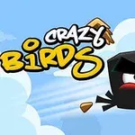 Un ave negra con expresión enfadada volando a través de un cielo azul con nubes, acompañado del texto Crazy Birds