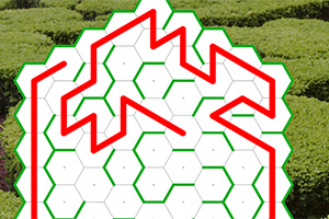 Diseño de líneas rojas y verdes en un patrón hexagonal sobre un fondo de arbustos verdes