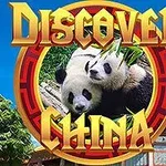 Dos pandas comiendo bambú en un entorno natural con un templo chino al fondo y un texto decorativo en tonos dorados