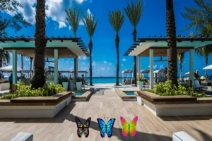 Vista de un resort frente al mar con palmeras, estructuras de pérgolas y tres mariposas coloridas en primer plano