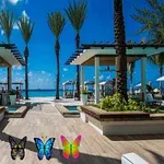 Vista de un resort frente al mar con palmeras, estructuras de pérgolas y tres mariposas coloridas en primer plano