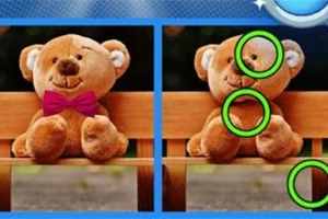 Dos imágenes de un oso de peluche sentado en un banco, con diferencias resaltadas por círculos verdes