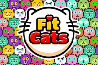 ¡A los gatos les encantan las cajas!