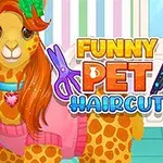 Llama colorida con suéter rosa y un gato con pelaje verde y corona de flores, junto al texto Funny Pet Haircut