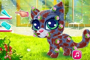 Gatito con ojos grandes cubierto de lodo y flores pequeñas en un jardín, junto a un icono musical y una mano apuntando hacia un cepillo y jabón