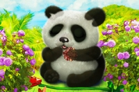 Cuida a un adorable oso panda en este encantador juego de cambio de imagen