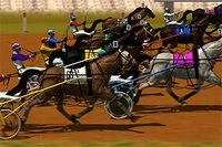 ¿Cuál es tu caballo ganador?