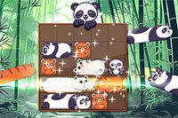 ¡Los adorables pandas están aquí para robarte el corazón!