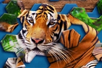 Hexa Jigsaw Puzzle es un juego innovador y divertido de rompecabezas hexa