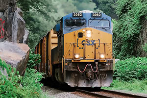 Tren de carga amarillo y azul avanzando por vía rodeada de vegetación verde