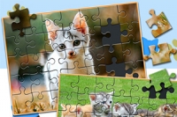 Rompecabezas de Gatos y Gatitos es un juego de rompecabezas interesante para