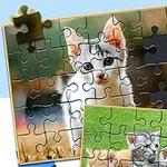 Rompecabezas con la imagen de un gatito gris de ojos grandes sobre un fondo verde, parcialmente armado y con algunas piezas sueltas alrededor