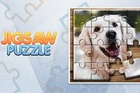 Conoce animales adorables, visita lugares desconocidos o descubre cosas nuevas