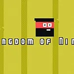 Personaje de ninja pixelado con fondo amarillo y texto debajo