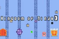Hola desde la serie 3 del juego Kingdom of Ninja
