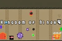 Kingdom Of Ninja 4 es el cuarto capítulo de la serie Kingdom of Ninja