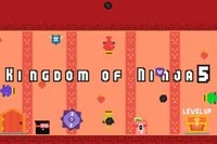 Kingdom of Ninja 5 es el quinto capítulo de la serie Kingdom of Ninja