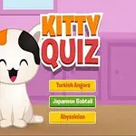 Un gato blanco con manchas naranjas y negras sonríe junto a opciones de respuesta en una encimera con fondo colorido