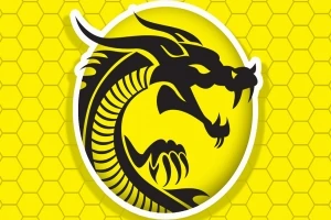 Dragón negro en un fondo amarillo con patrón de panal