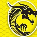 Dragón negro en un fondo amarillo con patrón de panal