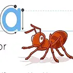 Letra A mayúscula y minúscula con una hormiga ilustrada al lado