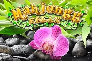 Orquídea rosa brillante sobre piedras negras con hojas verdes al fondo