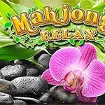 Orquídea rosa brillante sobre piedras negras con hojas verdes al fondo