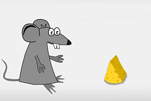 Ratón gris caricaturesco mirando un trozo de queso amarillo sobre un fondo blanco