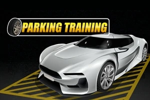 Coche deportivo plateado estacionado en un área designada con texto PARKING TRAINING