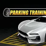 Coche deportivo plateado estacionado en un área designada con texto PARKING TRAINING
