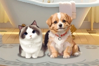 Estas mascotas sucias necesitan tu ayuda