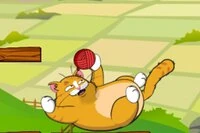 Ayuda a este lindo gatito a recuperar su estambre rojo, ¡solo quiere jugar!