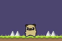 ¡Comienza hoy la aventura de Pug Love!
