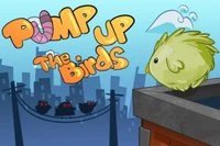 ¡El combate de aves urbanas es feroz, protege tu territorio!