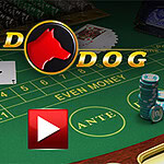 Mesa de casino con fichas, cartas y un botón para jugar, destacando un diseño de perro rojo