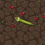 Serpiente verde moviéndose entre manzanas rojas sobre un suelo de piedras
