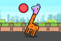 ¡Llamas jugando voleibol!