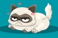 Responde preguntas para encontrar al gato famoso que se parece a ti en este
