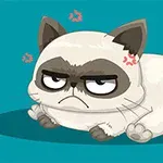 Gato caricaturizado con expresión enojada y cejas prominentes en un fondo azul