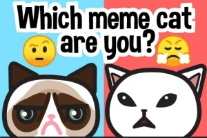 Dos dibujos de gatos con expresiones faciales diferentes sobre fondos azul y rojo