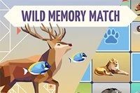Empareja las mismas cartas de animales salvajes para ganar